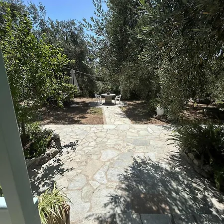 Our Summer Nest