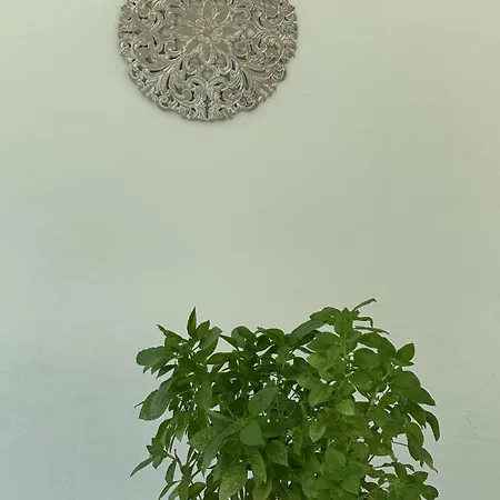 Our Summer Nest Hébergement de vacances *