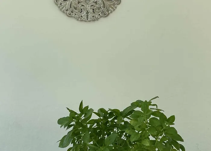 Our Summer Nest Holiday home *